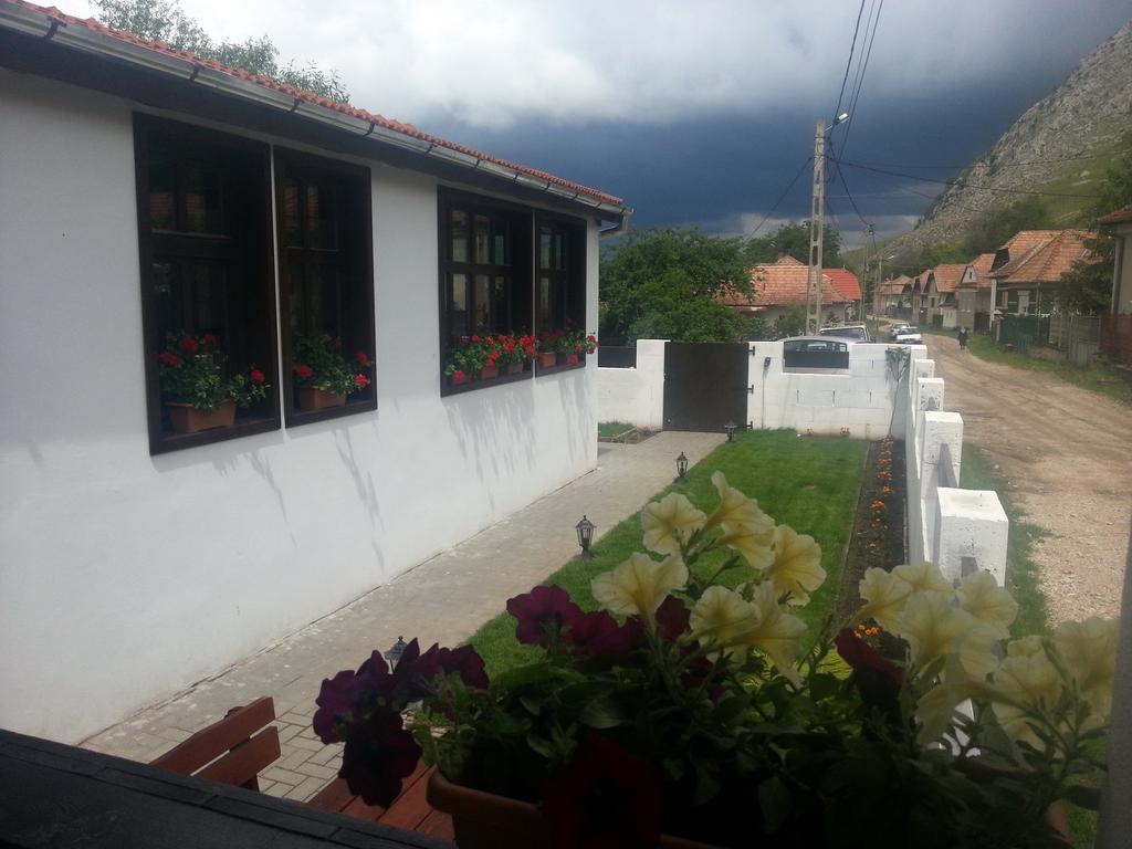 Casa Demeter Otel Rimetea Dış mekan fotoğraf